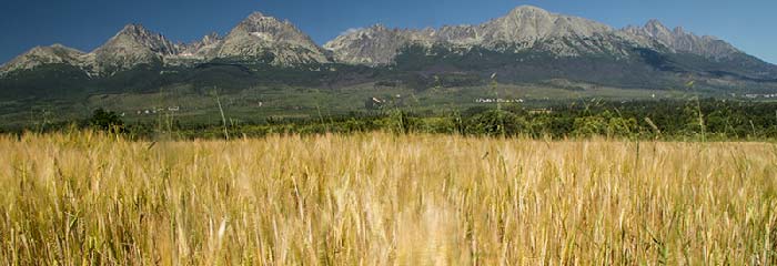 que-faire-en-slovaquie tatras