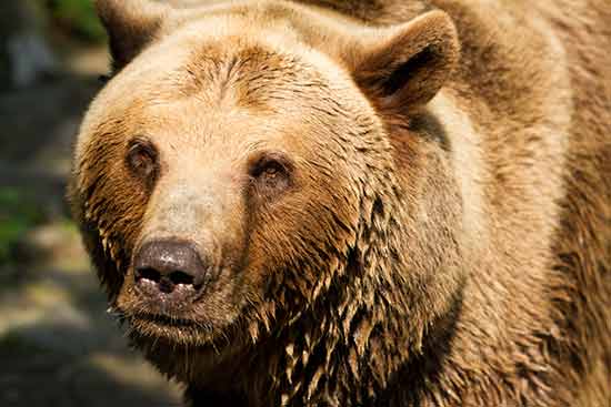 bratislava-en-famille