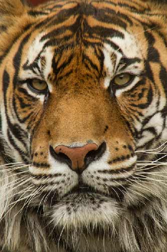 road-trip-slovaquie-kosice