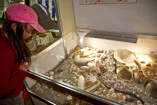 camargue-avec-enfants
