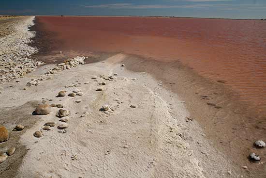 camargue-vacances-famille