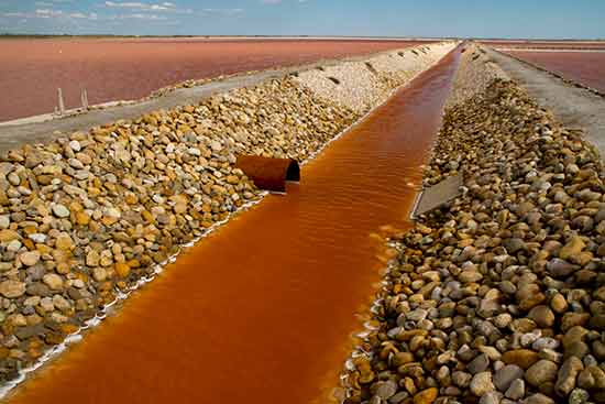 séjour-en-camargue-en-famille