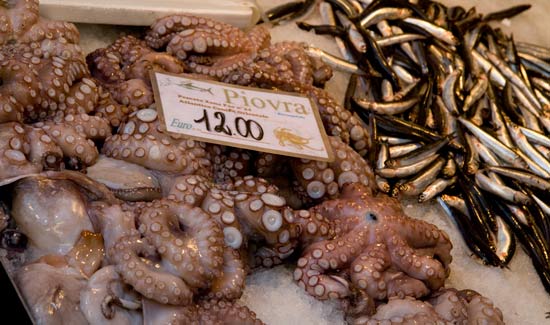 voyage à venise en famille 