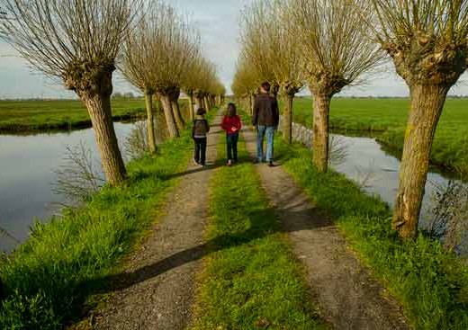 canaux-en-famille-hollande