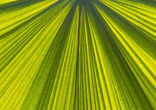 sejour amsterdam en famille