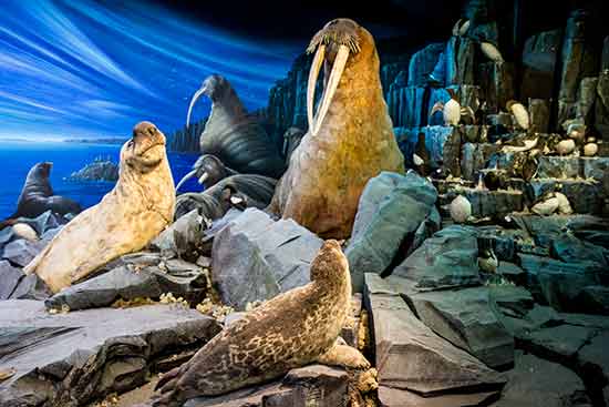 visiter geneve en famille