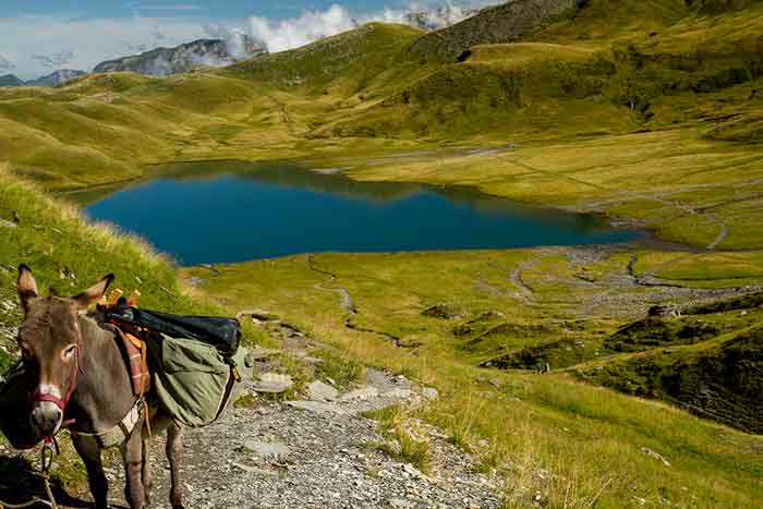 randonnée-ane-alpe-lac-anterne randonnée-ane-alpe-lac-anterne