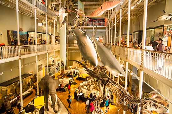 edimbourg avec des enfants Museum-National-Ecosse