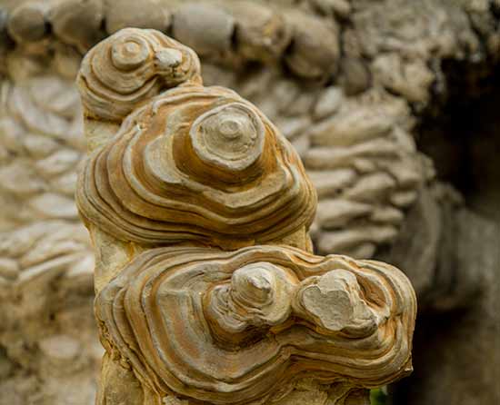 palais-idéal-du-facteur-cheval-pierre