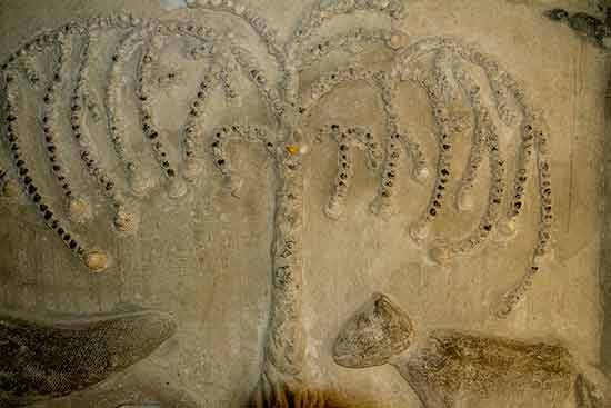 palais-idéal-du-facteur-cheval-terrasse-galerie-arbre