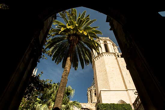 cathédrale-barcelone