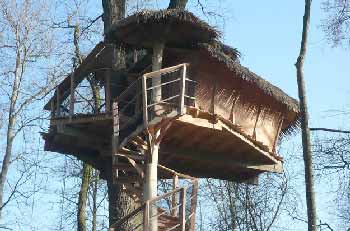 cabane-arbre-famille