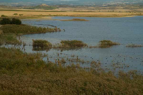 laguna-pitillas-navarre-espagne