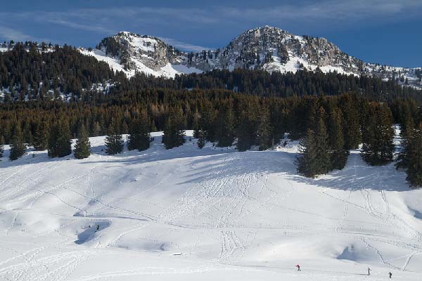 plateau-des-glières-hiver