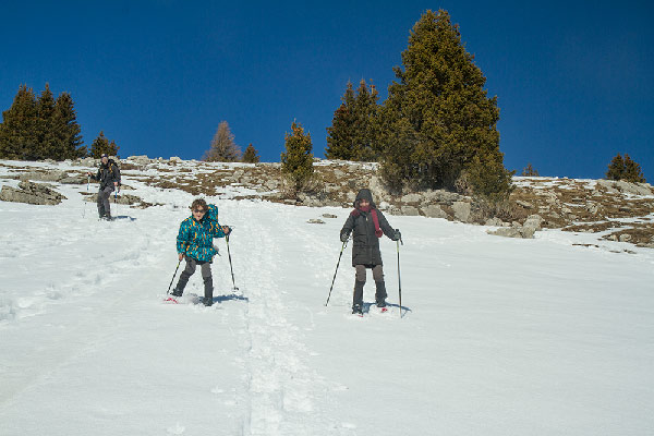 randonneur-raquette-enfant-plateau-des-glières-hiver