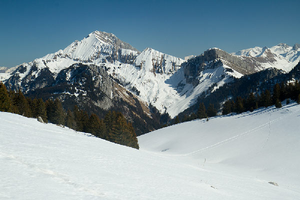 vue-sur-les-Aravis-depuis-le-plateaudes-glières