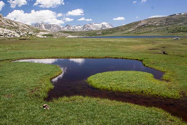 26 Randonnées en famille en Corse Pozzines-au-lac-Nino-en-Corse