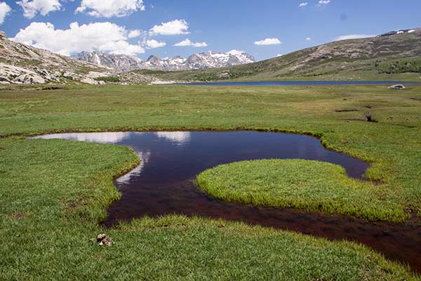 Pozzines-au-lac-Nino-en-Corse