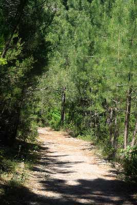 sentier-canaglia-en-Corse