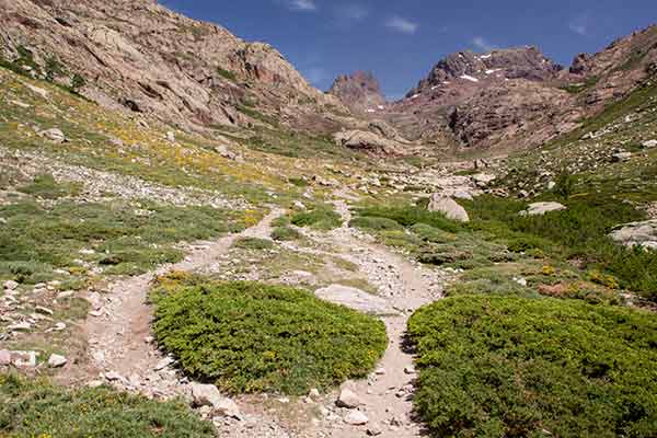 sentier-en-Corse