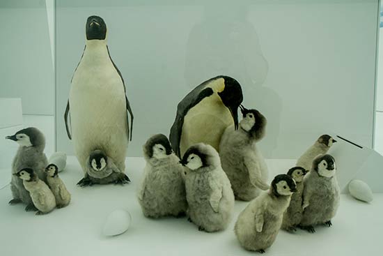 week-end-en-famille-jura-