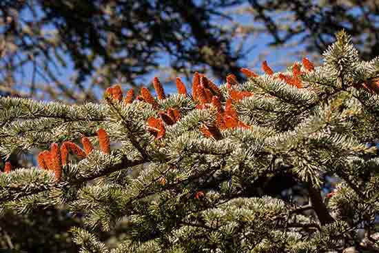 luberon-en-famille-avec-enfants