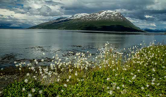 circuit-laponie-paysage-