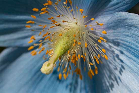 sejour laponie famille