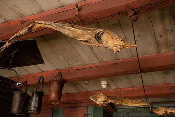 musée-hanséatique-Bergen-Norvège