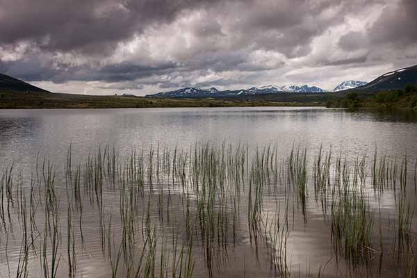 norvege-randonnée-parc-dovrefjell