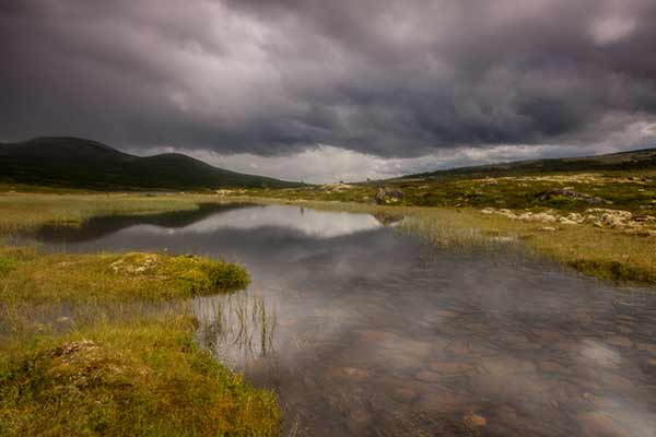 randonnée-en-norvège-parc-dovrefjell
