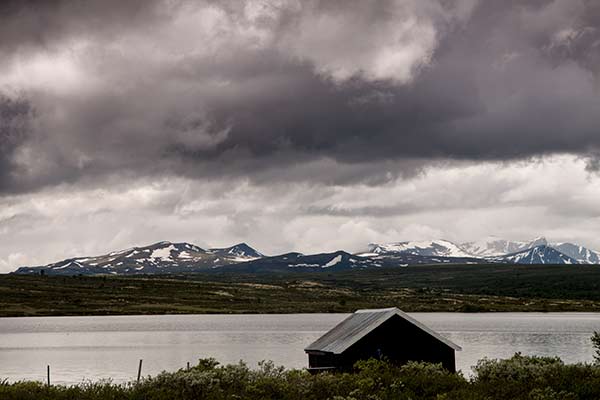 randonnée-norvege-été-parc-dovrefjell