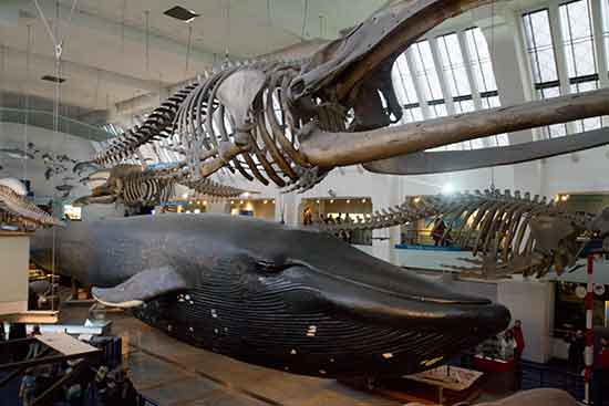 organiser un week end a londres en famille organiser un week end a londres en famille