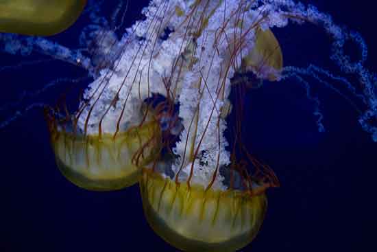 week end famille londres week end famille londres