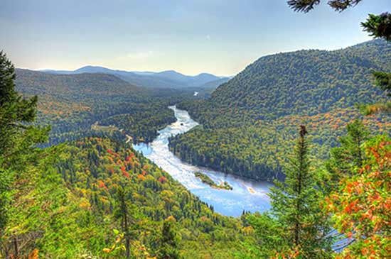 activité familiale québec 