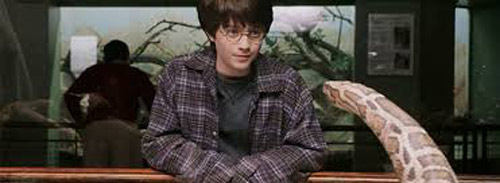 circuit harry potter circuit harry potter