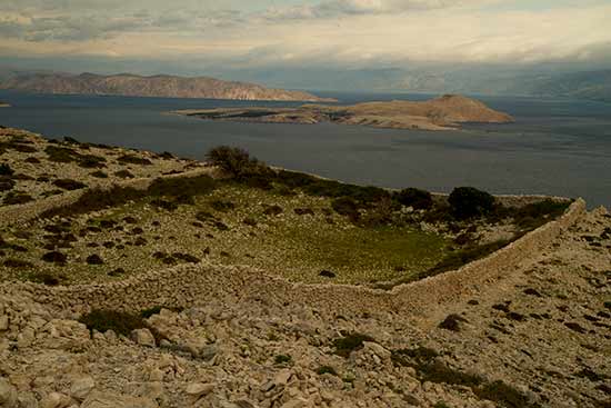 ile-de-rab-croatie-randonnée