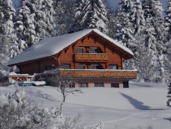 Séjours en famille dans le Jura – TOP15 chalet-famille-jura