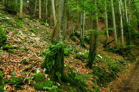 randonnée-grand-manti-chartreuse