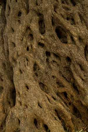 îles-croates-à-visiter