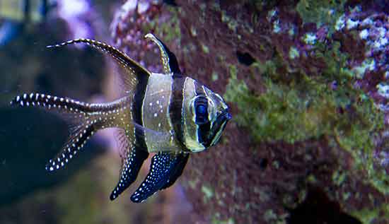 stockholm-avec-les-enfants