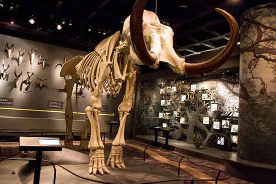 stockholm-en famille