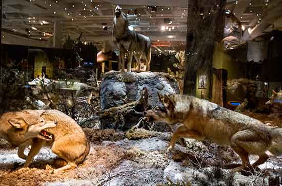 stockholm-en-famille-