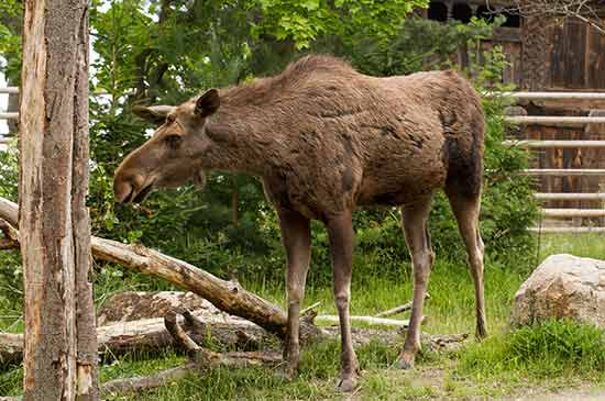 activités stockholm en famille