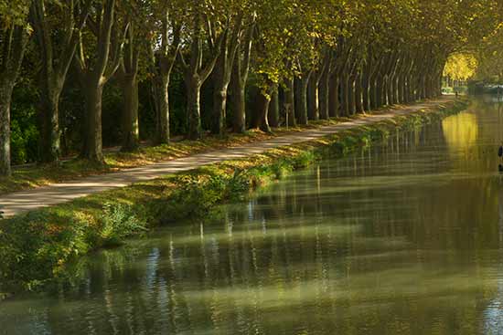 que faire a toulouse avec un enfant 