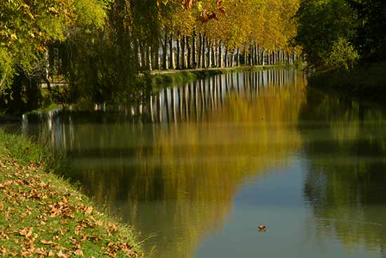 activité toulouse en famille 