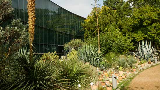 jardins-du-museum-toulouse