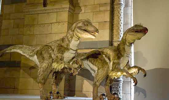 musée-londres-enfant-