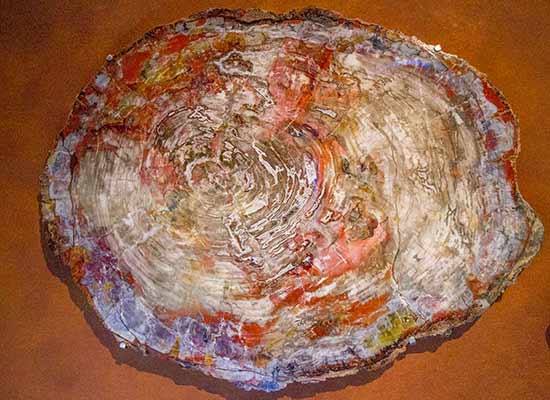 museum-toulouse-en-famille