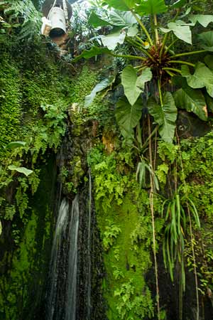 musée-jardin-des-plantes-toulouse